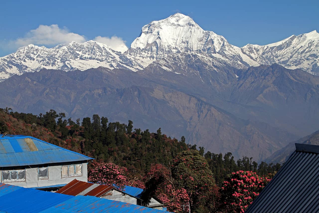 Ghorepani Poon Hill Trek — photo 2